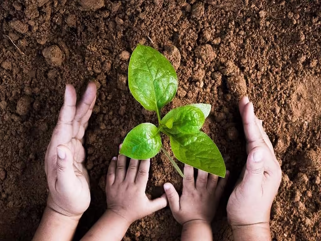 jak-nauczyc-dziecko-ochrony-srodowiska